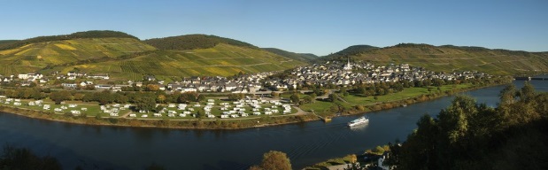 Enkirch Panorama